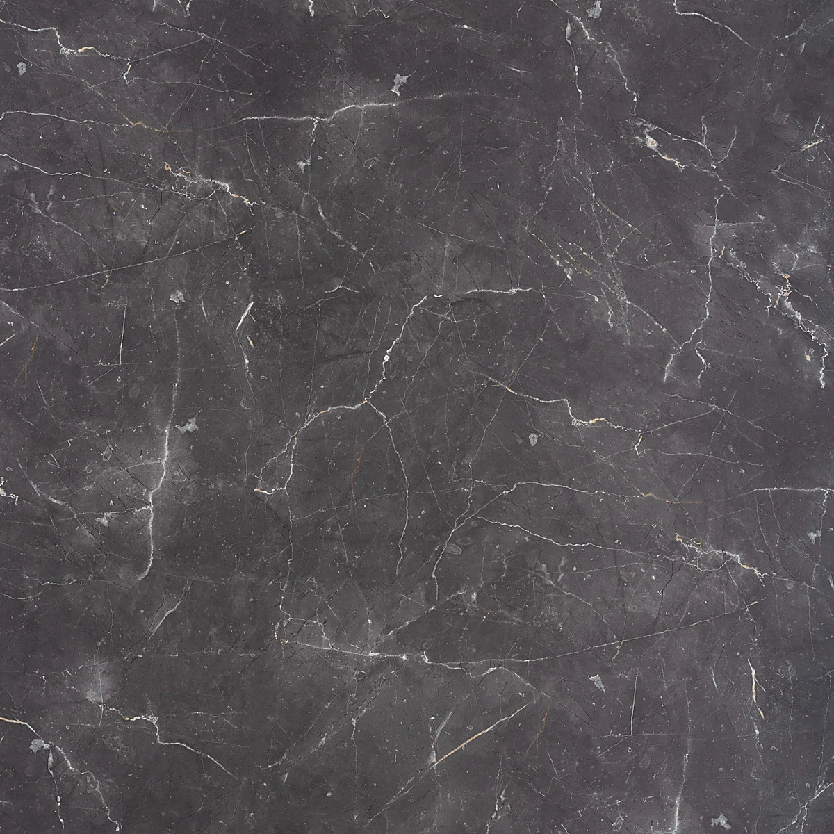 Carnico Marble product