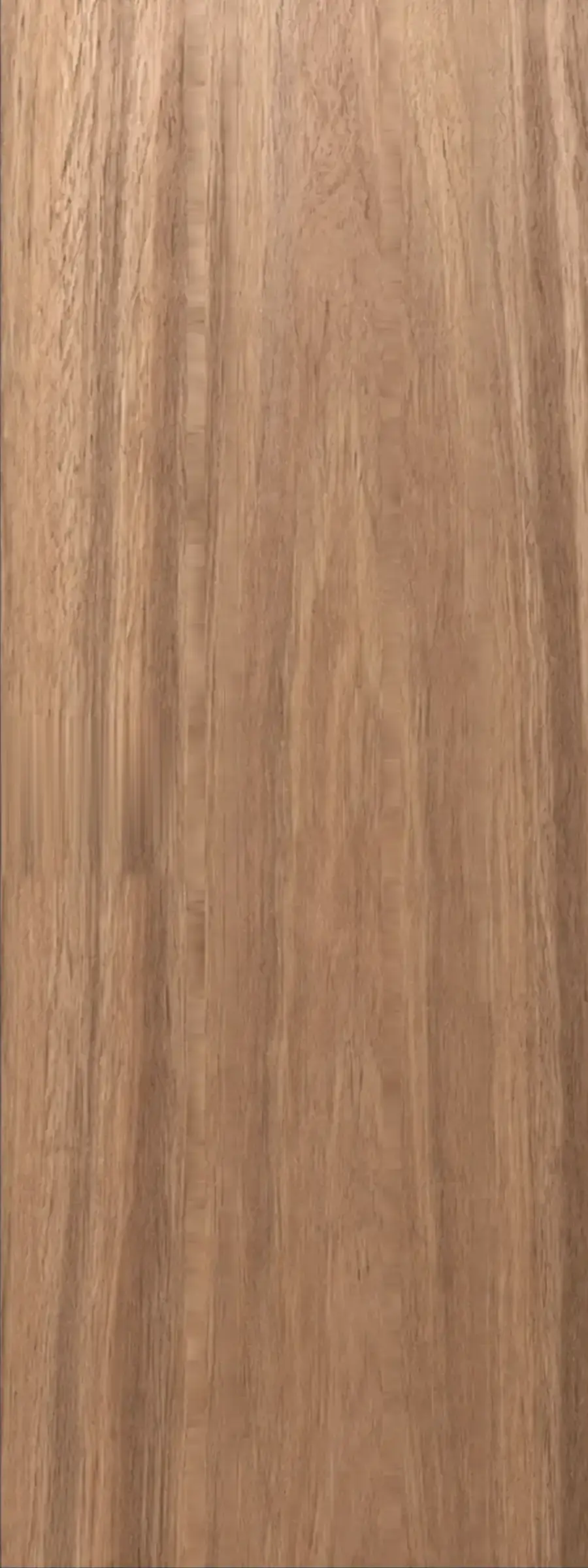 VE 501C product